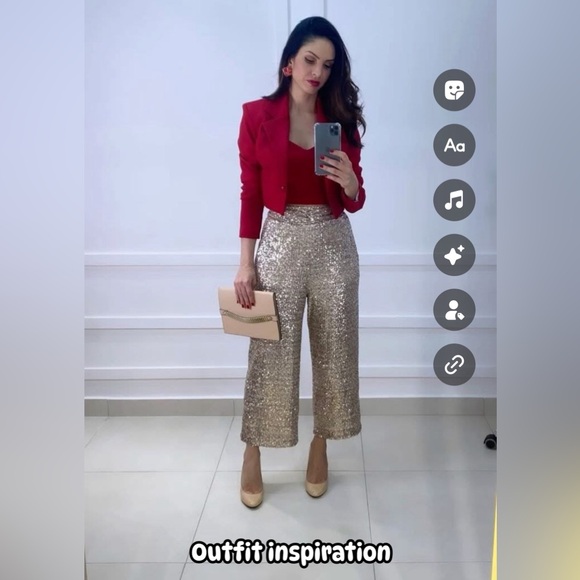 NWT Express High Waisted Sequin Pleated Cropped Trousers - size Medium - Picture 4 of 4